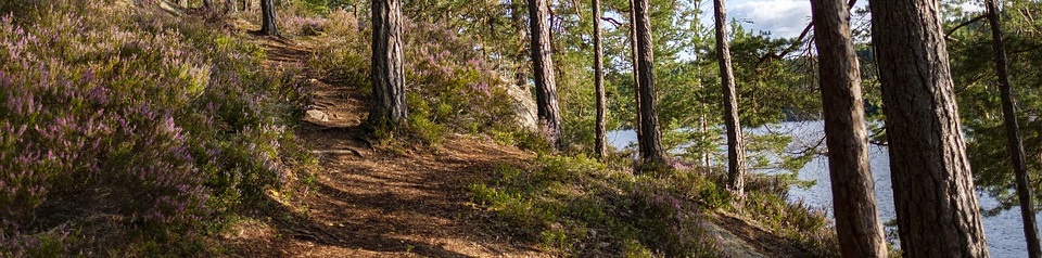 Inkeri Kärkkäinen – Bonis Avibus